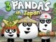 3 Panda Japonyada